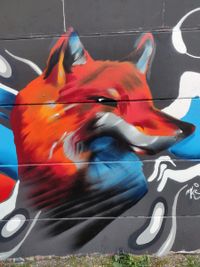 fox_web